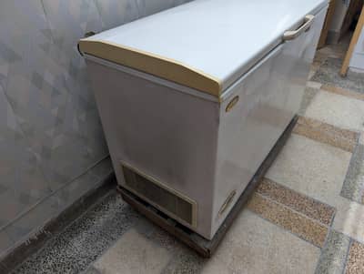 Waves Full Size Deep Freezer