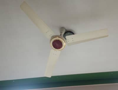 ceiling fan for sale