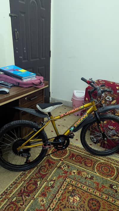 BMW Style Mountain Bike for Sale | Good Condition | Strong Frame
