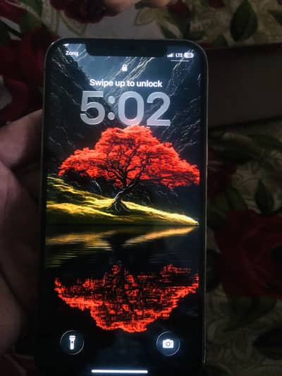 iPhone 12 pro pta approved