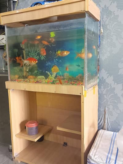 Fish Aquarium complete For Sale