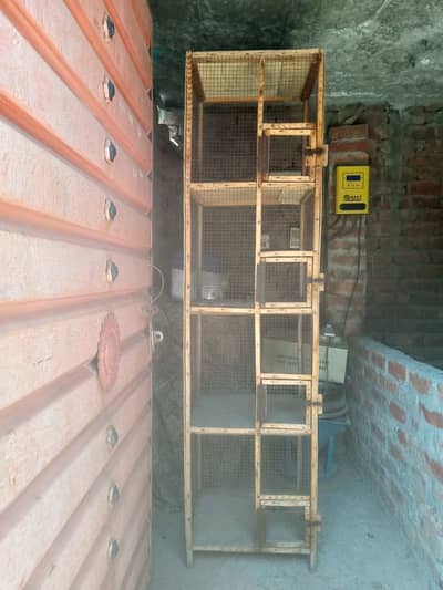 birds cage