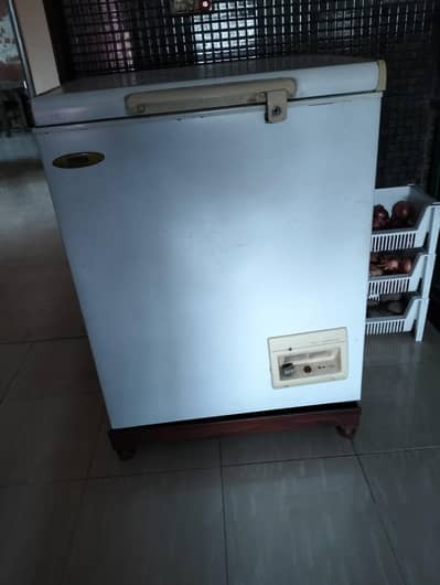 Haas freezer