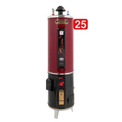 Electric and Gas Geyser