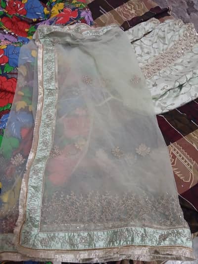 elegant mint green embroiderd dress