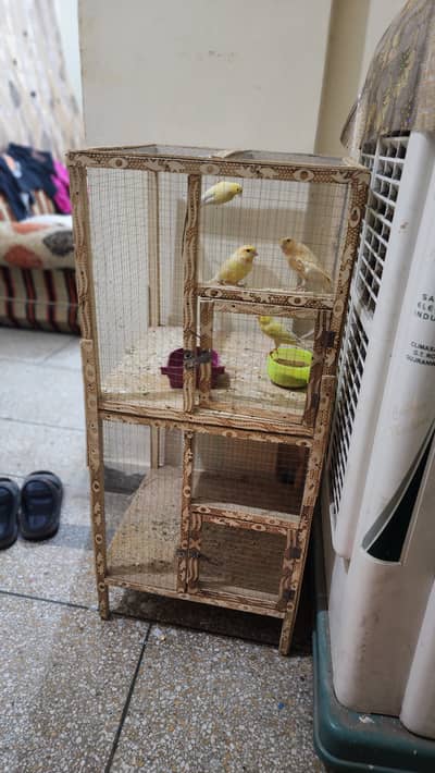Wood Cage for birds
