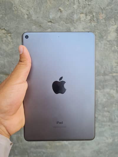 ipad mini 5 __ 256GB