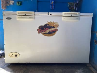 Waves 2 door deep freezer for sale
