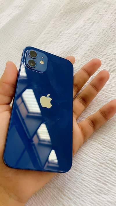 Iphone 12  0307/596/7296