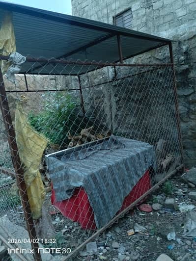 12/10 ka sabzi fruit ka thiya