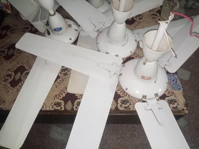 ceiling Fans
