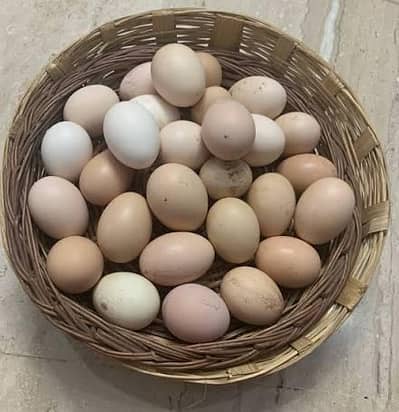 Desi Eggs Free Range