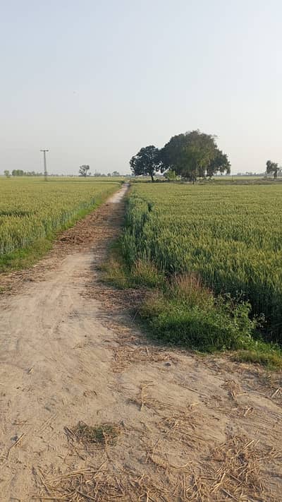 19 kanal Industry Land for Sale in just 1.5 kilo Meter from multan Road Lahore