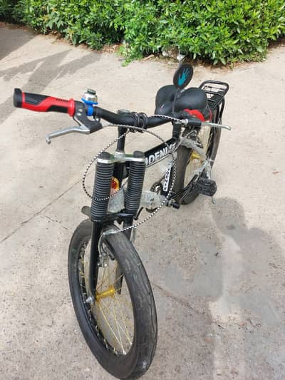 Phoenix Bicycle Condition just like New for sale