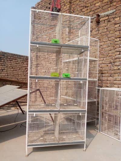 Birds Cage