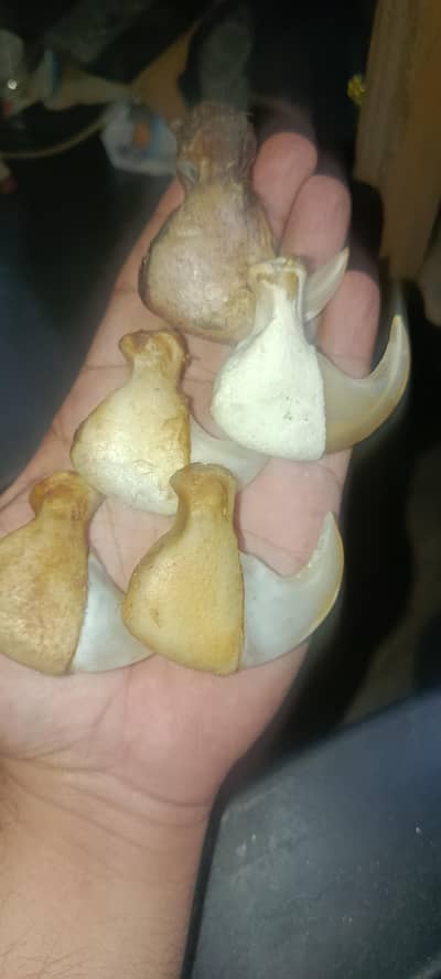 antique unique nail pendent