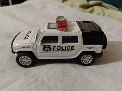 Car police