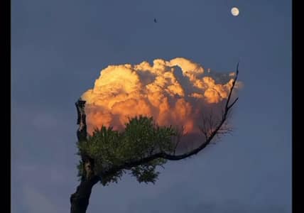 Handmade Beautiful Paintings for Sale