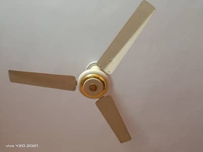 celling fan