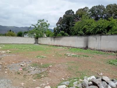 Well qualified person Need job