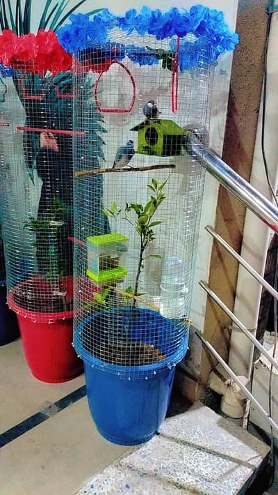 Cage(indoor/outdoor)