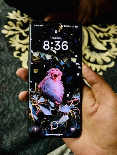 oppo reno 11 5G