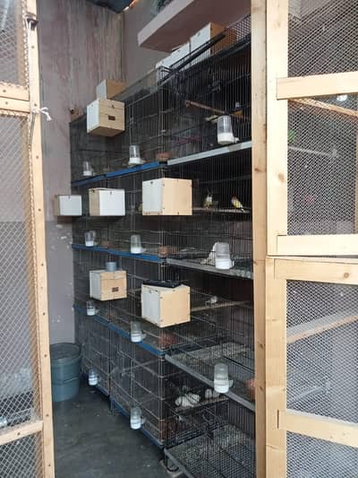 3 folding cages in good condition