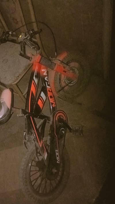 dorable brandname cycle perfect for daily use