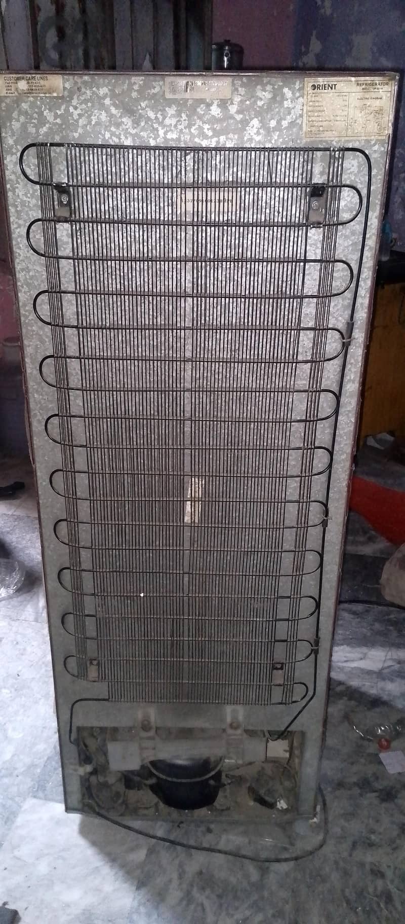 Orient Medium Size 3