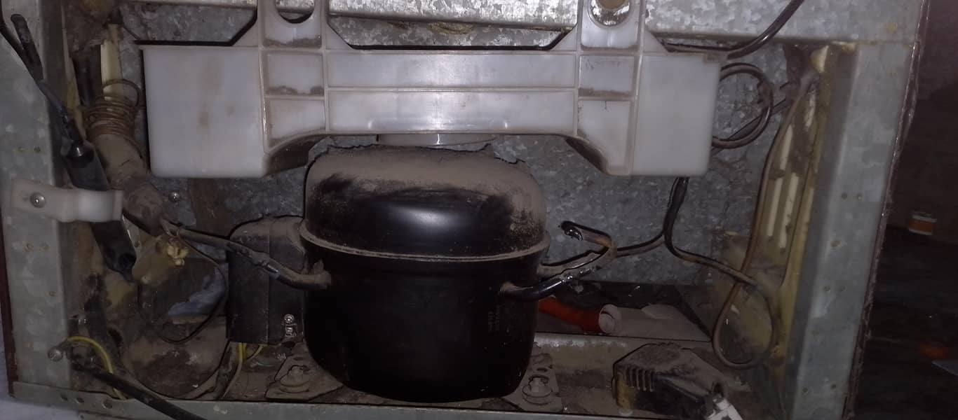 Orient Medium Size 4