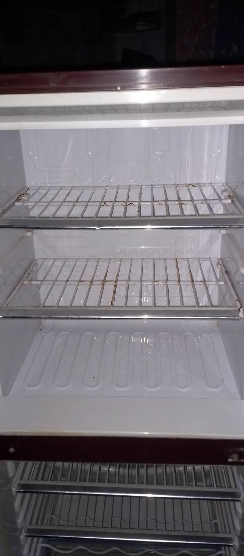 Orient Medium Size 5