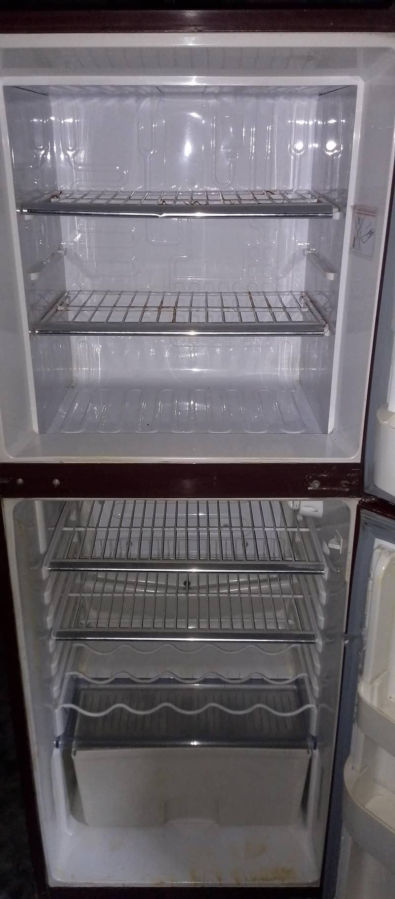 Orient Medium Size 7