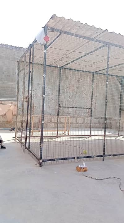 Master cage  10×4 size