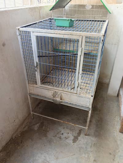 grey Parrot Cage.