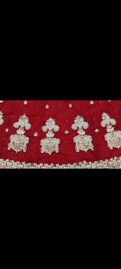 Red Bridal lehnga / Bridal dress /barat dress