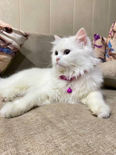 she is cute . innocent