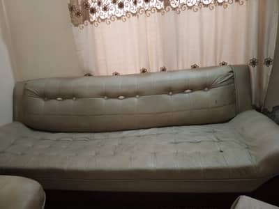 3+1+1 seater leather poshish