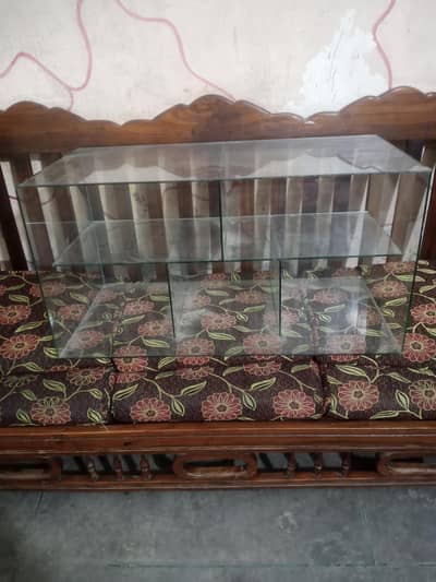 Fries Samosa Mirror Counter