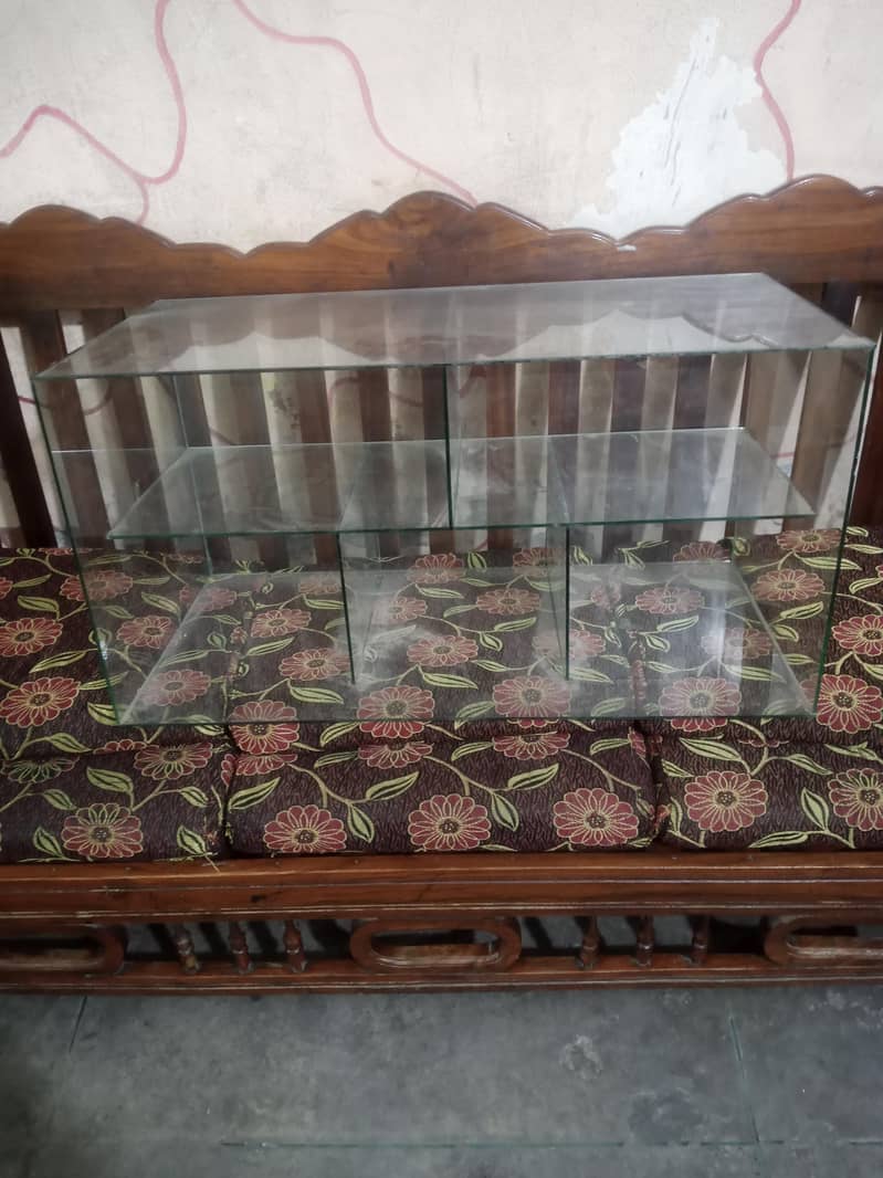 Fries Samosa Mirror Counter 0