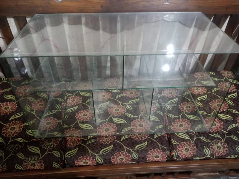 Fries Samosa Mirror Counter 1