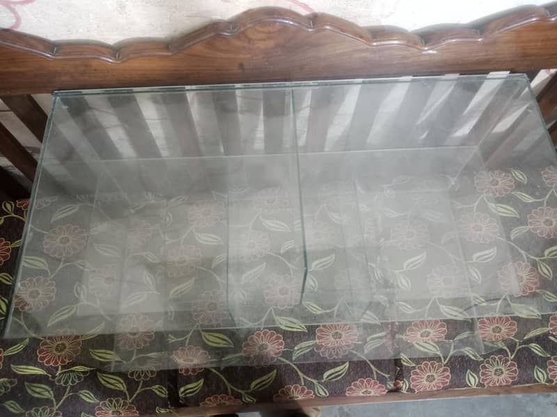 Fries Samosa Mirror Counter 2