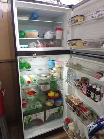 Fridge