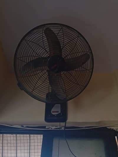 Fan Pedestal Royal