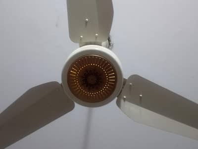 all oky coper wading ma ha no open no raipr