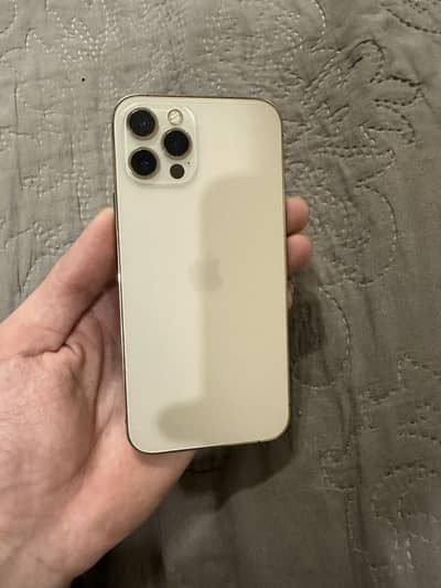 IPhone 12 pro non pta waterpack