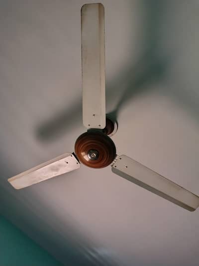 ok hn speed bi bht tez hn