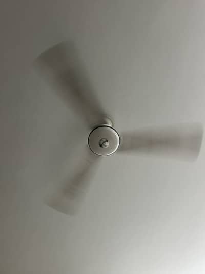 Pak fan ceiling fan new condition 5 pcs