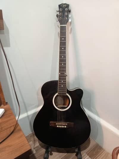 Semi Acoustic guitar