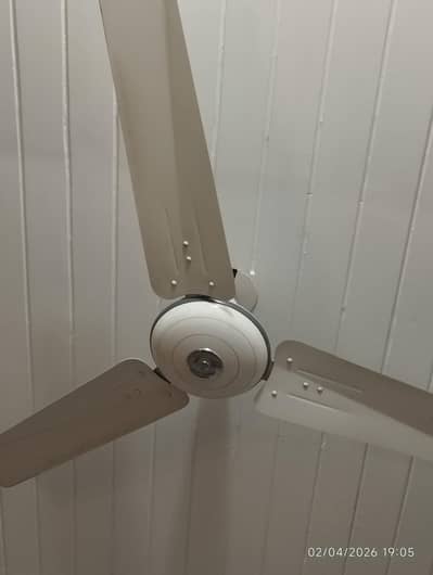 Pak Fan orignal full copper