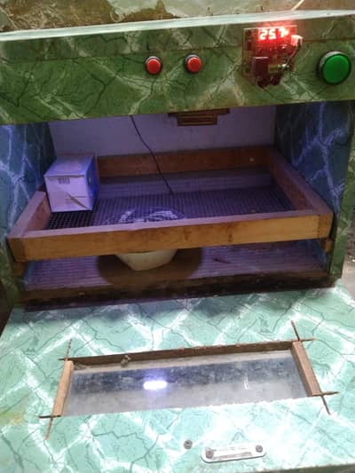 Eggs Incubator New Condition